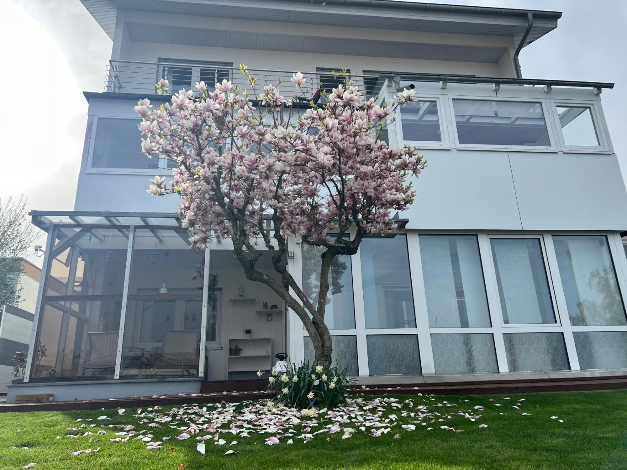 Ferienwohnung Schwarzwald Lodge Schömberg Exterior foto